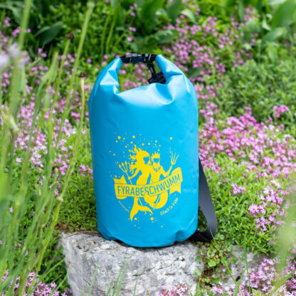 Der Aarebag vom Aare Guru – Bild 2
